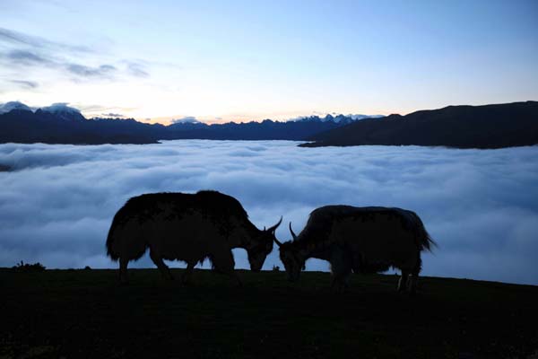 མི་ཉག་རབ་སྒང་གི་ཡུལ་ལྗོངས།