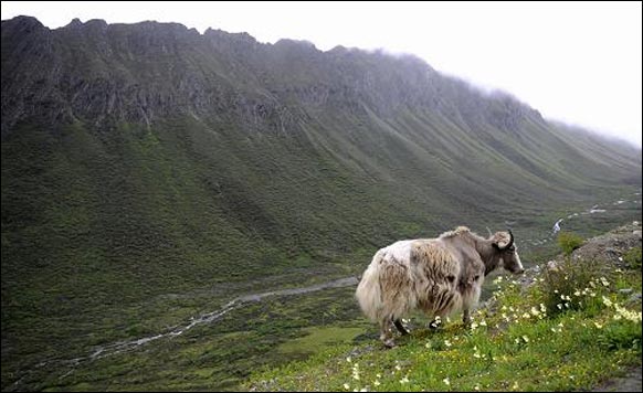 ཧི་མ་ལའི་ལྷོ་རྒྱུད་ཀྱི་མཛེས་ལྗོངས།