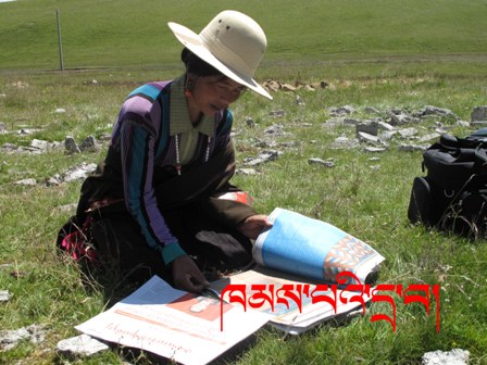 བོད་ཡིག་ཚགས་པར་བོད་ཀྱི་ཁྱིམ་གཞིས་སུ་འབྱོར།གསུང་བཤད་སྙིང་དོན་བོད་འབངས་ཡི་ག་ཚིམ།