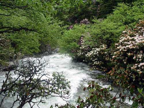 ཁམས་པའི་རི་ཆུ།