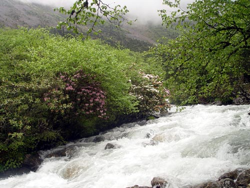 ཁམས་པའི་རི་ཆུ།