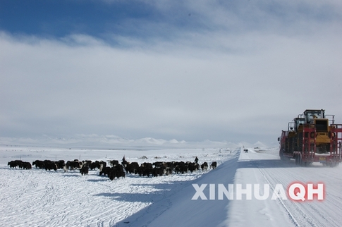 ཡུས་ཧྲུའུ་ཁུལ་དུ་བསྟུད་མར་ཁངས་བབས་ཏེ་ཁྲི་འདུ་རྫོང་གི་ཞང་དང་གྲོང་རྡལ་བཞི་ལ་ཁངས་གནོད་ཅུང་ཙམ་ཐེབས་པ།