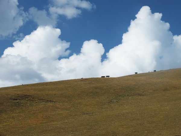 རང་གི་མགོན་ནི་རང་ཉིད་ཡིན།