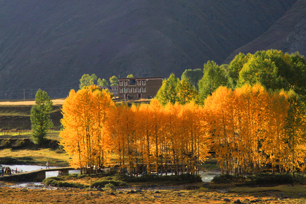 མཁས་དབང་དགེ་འདུན་ཆོས་འཕེལ་གྱི་ཟབ་མོ་དབུ་མའི་ལྟ་བ་ལ་རགས་ཙམ་དཔྱད་པ།