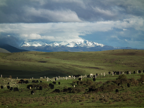 མཁས་དབང་དགེ་འདུན་ཆོས་འཕེལ་གྱི་ལོ་ཙཱའི་རྣམ་བཤད་སྐོར་མདོ་ཙམ་གླེང་བ།