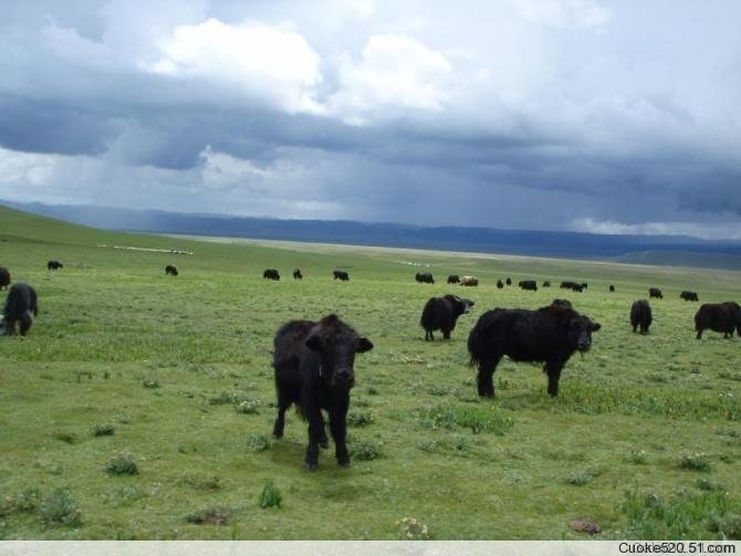 ཁམས་པའི་ཡུལ་གྱི་དམངས་ཁྲོད་ཀྱི་ཁེད། ༡