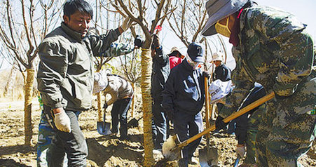 བོད་ལྗོངས་ཀྱིས་ལྷ་སའི་མཁའ་རླུང་ལེགས་སུ་གཏོང་བའི་ཤིང་འཛུགས་བྱེད་སྒོ་སྤེལ་བ།