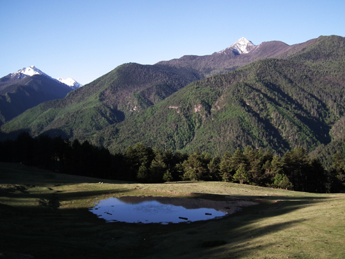 བདེན་རྫུན་ཤན་འབྱེད།