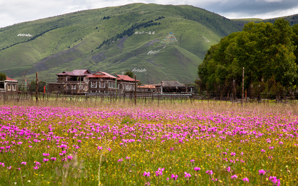 ཀློག་པ་པོ་མེད་པའི་རྩོམ་པ་པོ།