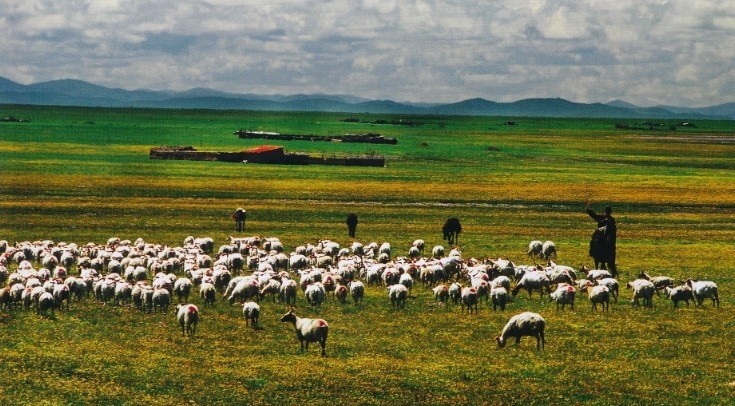 འབྲོག་མིའི་ལག་བཟོའི་ཤེས་རིག་ལས་ཕྱིང་བ།