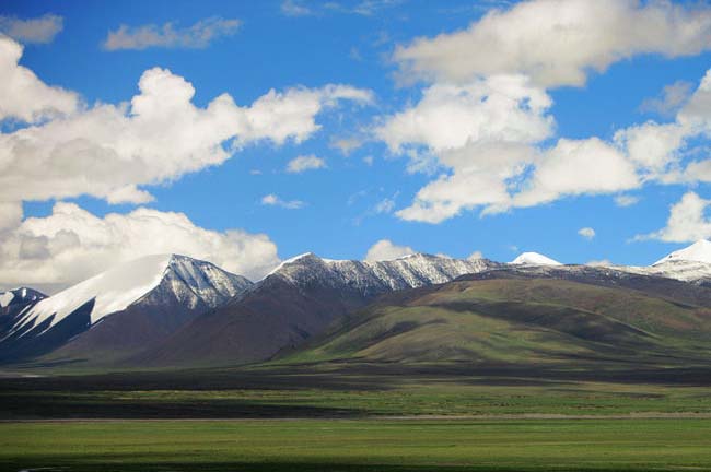 དྲིན་ཆེན་བོང་བུའི་ལས་དབང་།