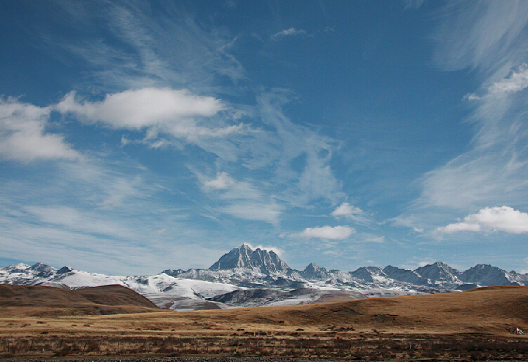 ཤིང་སྡོང་དང་འཕྲོས་གཏམ།