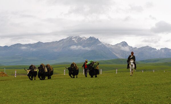 ཁམས་པའི་ཕོ་སར།