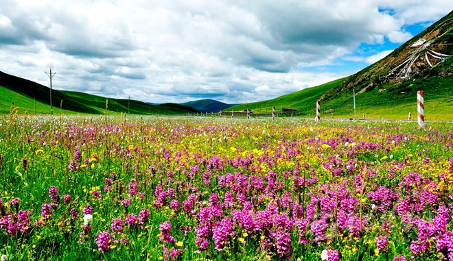 སྐར་མའི་བུ་ཆུང་།