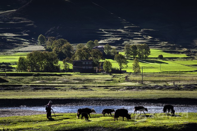 ཕེབས་ཟིན་པའི་དབྱར་དུས།