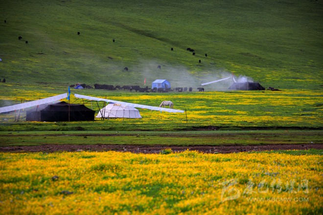 འཕྲོད་བསྟེན་ལ་སྔར་ལས་ལྡབ་འགྱུར་གྱིས་གཟབ་དགོས།