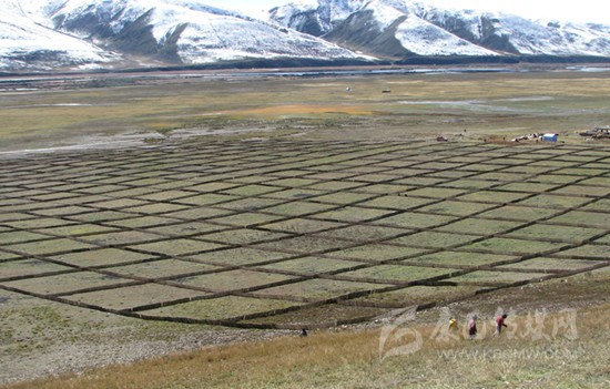 སི་ཁྲོན་ནུབ་རྒྱུད་བོད་རིགས་ས་ཁུལ་གྱིས་ལོ་བཞི་ཡི་རིང་ལ་བྱེ་འགྱུར་ས་ཆ་མུའུ་ཁྲི65ལྷག་བཅོས་སྒྲིག་བྱས་པ།