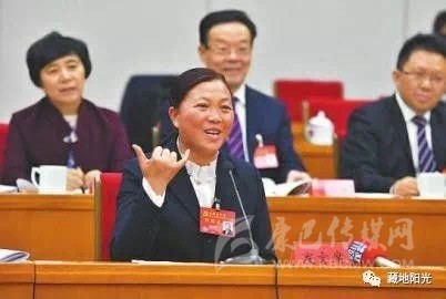 སི་ཁྲོན་ཞིང་ཆེན་གྱི་འཐུས་མི་ཚོགས་པས་སྙན་ཞུ་ལ་གྲོས་བསྡུར་བྱས།