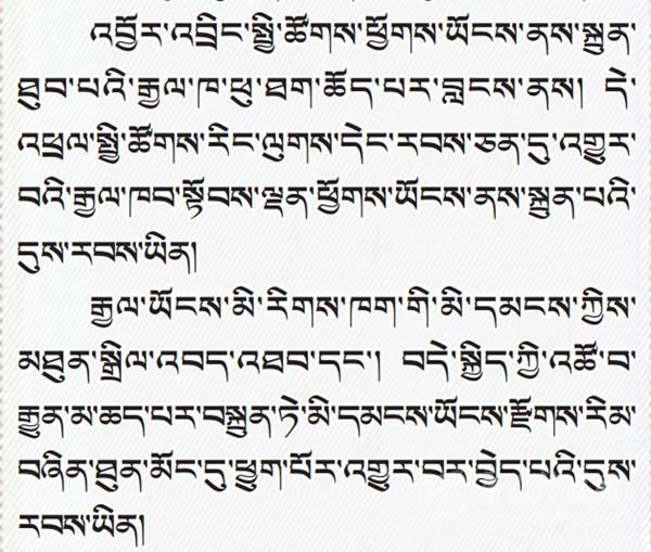 པར་རིས་ལམ་ནས་ཏང་གི་ཚོགས་ཆེན་བཅུ་དགུ་པའི་སྙན་སྒྲོན་གྱི་ནང་དོན་རྒྱུས་ལོན་བྱས།