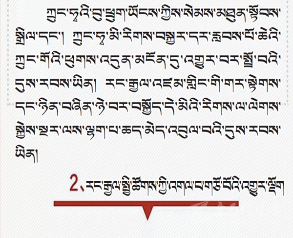 པར་རིས་ལམ་ནས་ཏང་གི་ཚོགས་ཆེན་བཅུ་དགུ་པའི་སྙན་སྒྲོན་གྱི་ནང་དོན་རྒྱུས་ལོན་བྱས།