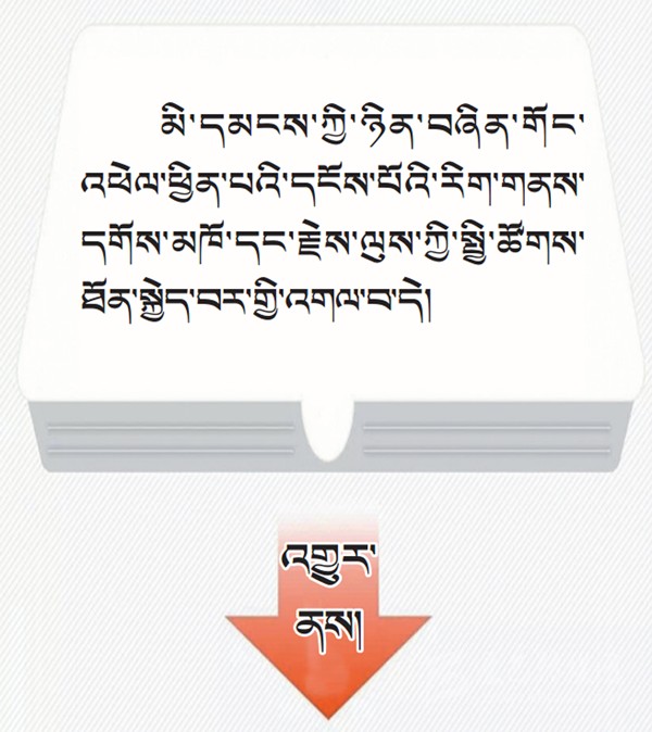 པར་རིས་ལམ་ནས་ཏང་གི་ཚོགས་ཆེན་བཅུ་དགུ་པའི་སྙན་སྒྲོན་གྱི་ནང་དོན་རྒྱུས་ལོན་བྱས།