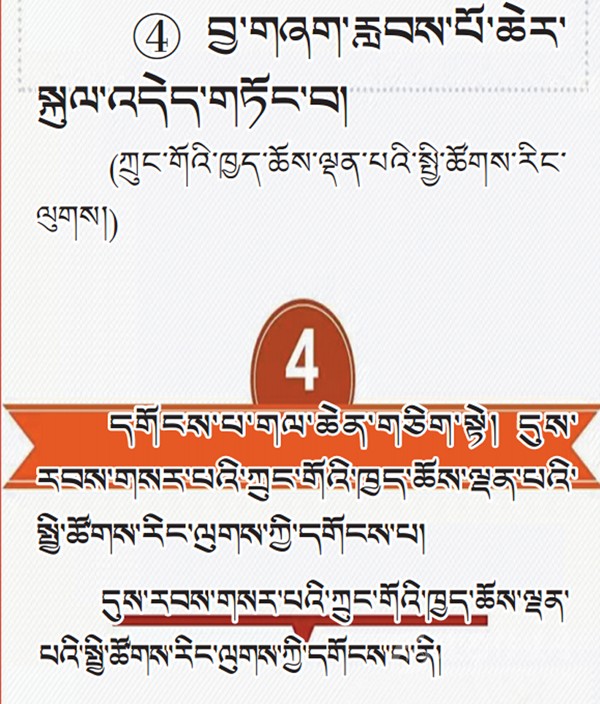 པར་རིས་ལམ་ནས་ཏང་གི་ཚོགས་ཆེན་བཅུ་དགུ་པའི་སྙན་སྒྲོན་གྱི་ནང་དོན་རྒྱུས་ལོན་བྱས།