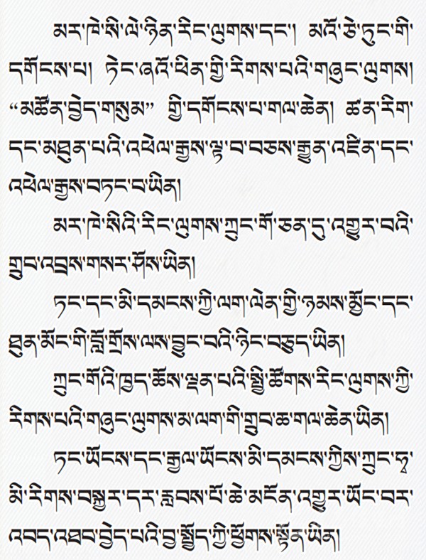 པར་རིས་ལམ་ནས་ཏང་གི་ཚོགས་ཆེན་བཅུ་དགུ་པའི་སྙན་སྒྲོན་གྱི་ནང་དོན་རྒྱུས་ལོན་བྱས།