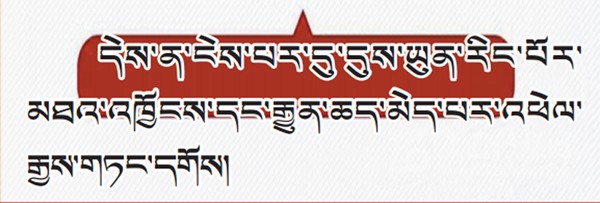 པར་རིས་ལམ་ནས་ཏང་གི་ཚོགས་ཆེན་བཅུ་དགུ་པའི་སྙན་སྒྲོན་གྱི་ནང་དོན་རྒྱུས་ལོན་བྱས།