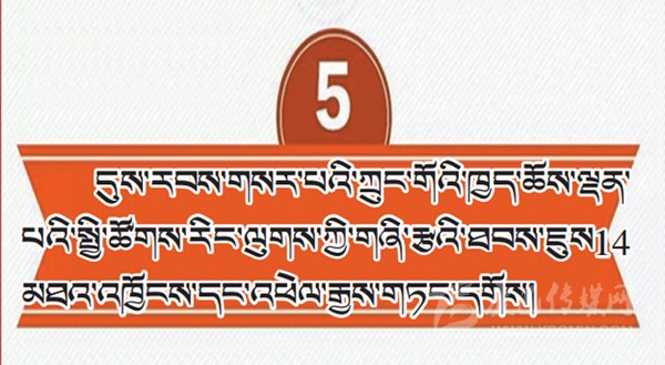 པར་རིས་ལམ་ནས་ཏང་གི་ཚོགས་ཆེན་བཅུ་དགུ་པའི་སྙན་སྒྲོན་གྱི་ནང་དོན་རྒྱུས་ལོན་བྱས།