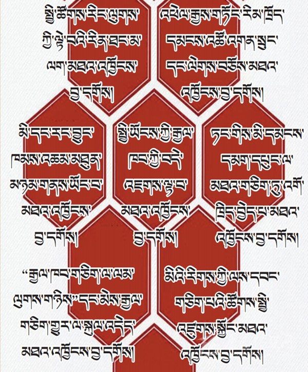 པར་རིས་ལམ་ནས་ཏང་གི་ཚོགས་ཆེན་བཅུ་དགུ་པའི་སྙན་སྒྲོན་གྱི་ནང་དོན་རྒྱུས་ལོན་བྱས།