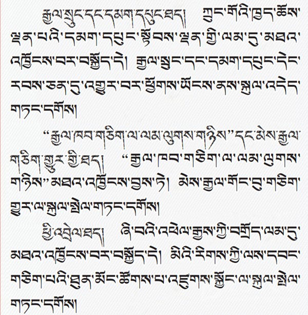 པར་རིས་ལམ་ནས་ཏང་གི་ཚོགས་ཆེན་བཅུ་དགུ་པའི་སྙན་སྒྲོན་གྱི་ནང་དོན་རྒྱུས་ལོན་བྱས།