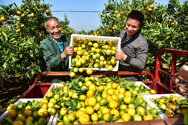 ས་ཞིང་འགན་གཙང་ལེན་གྱི་དུས་ཚོད་ཚང་རྗེས་ཡང་བསྐྱར་ལོ30བསྲིང་རྒྱུའི་སྲིད་ཇུས་བཏོན་ནས་ཞིང་པ་བློ་བདེ་སེམས་བརྟན་བྱུང་།