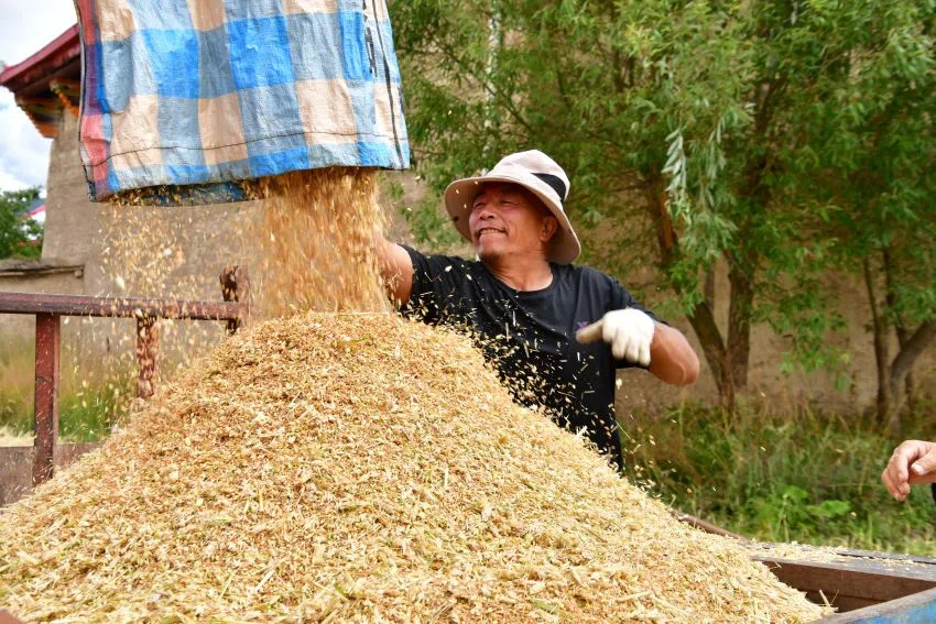 དཀར་མཛེས་རྫོང་གི་ཞིང་པ་རྣམས་སྟོན་བསྡུའི་ལས་ལ་བྲེལ།